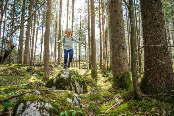 istock Little Boy Having A Blast Jumping And Spending Time In The Nature 1313339646