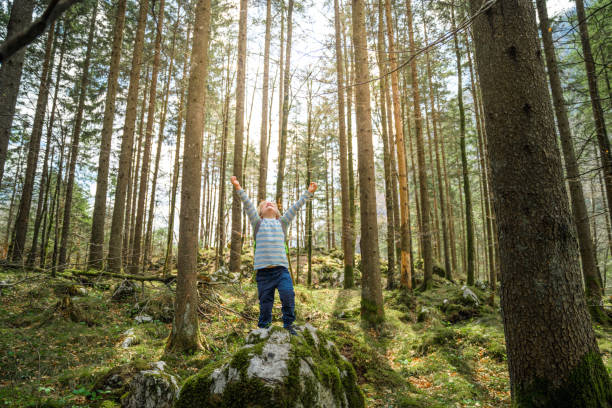 Little blonde boy holding hands up while standing on the rock in the woods. Exploring the nature.