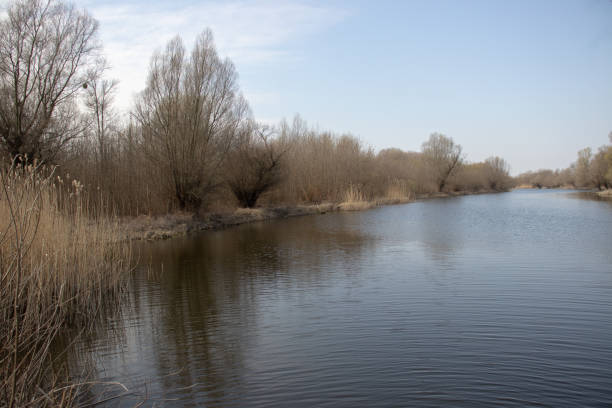 istock View of the river bank with blue sky 1313340501