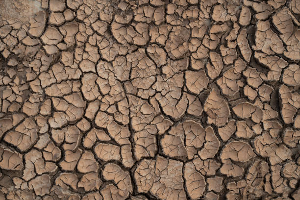 istock Israeli Nature 1313343091