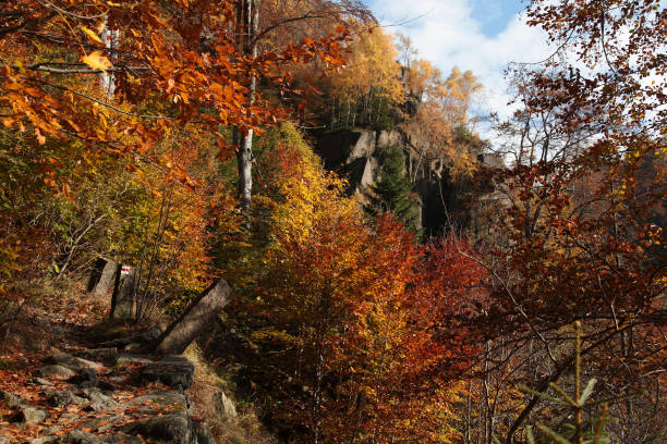 istock Colourful autumn day in mountains 1313346487
