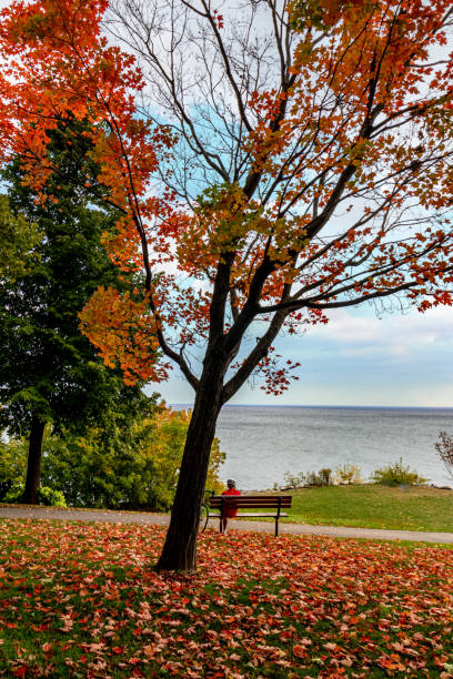 istock Beautiful fall day to relax by the lake - Fall in Central Canada, ON 1313350646