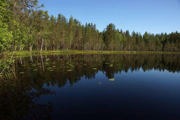 istock Landscape with a blue lake and a reflecting forest on the shore 1313351798