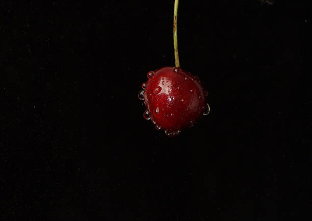 istock Red cherry berry on a dark background with water droplets 1313354143
