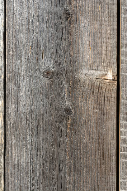 istock Embossed texture of an old weathered wood plank. Abstraction background 1313355235