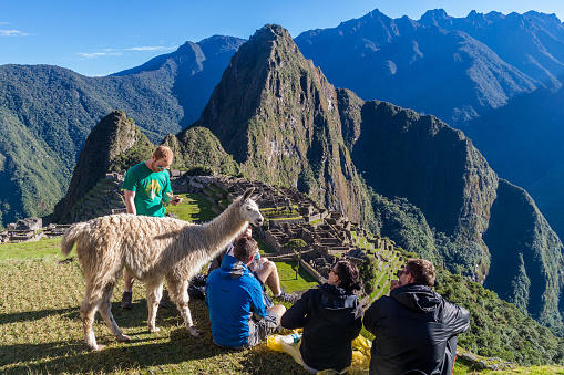 MACHU PICCHU, PERU - MAY 18, 2015: Tourists with a lama at Machu Picchu ruins, Peru.