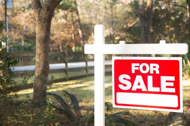 istock Home for sale with real estate sign.  Front Yard. 1313368763