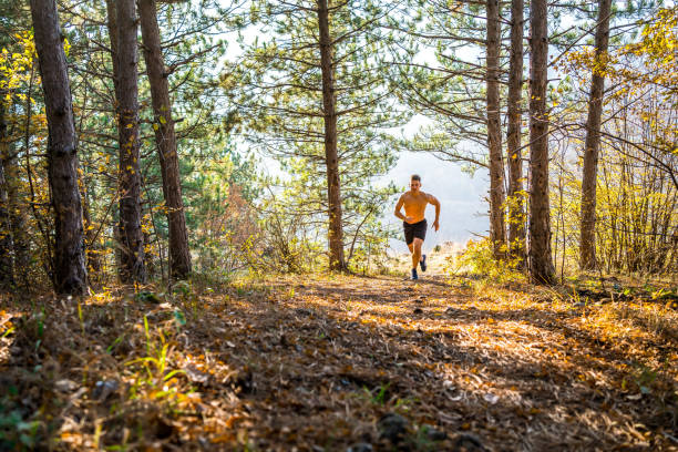 istock Jogging in the woods 1313372434