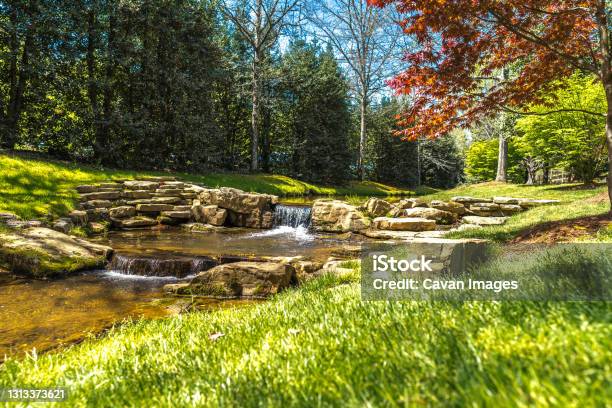 Little River In The Middle Of A Forest Stock Photo - Download Image Now - Georgia - US State, Stream - Body of Water, USA
