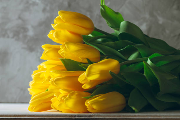 ramo de tulipanes amarillo brillantes sobre superficie de madera blanca sobre fondo gris. copiar espacio - colores fotos fotografías e imágenes de stock