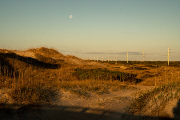 Sand dunes and power lines in the Outer Banks Cape Hatteras, North Carolina, USA - Sand dunes, power lines and the moon out on the Outer Banks of North Carolina. cape hatteras stock pictures, royalty-free photos & images