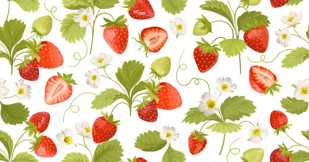 Vector illustration of Strawberry Background with flowers, wild berries, leaves. Vector seamless texture illustration for summer cover, botanical wallpaper pattern, vintage party backdrop, wedding invitation