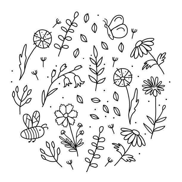 stockillustraties, clipart, cartoons en iconen met bloemen patroon in de vorm van een cirkel - dandelion white background