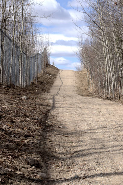 istock Hiking Cycling Walking Trail 1313381169