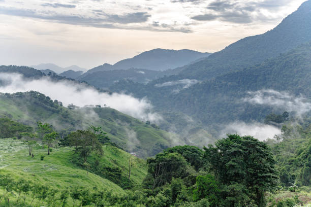Some low clouds in the Colombian jungle landscape at first light