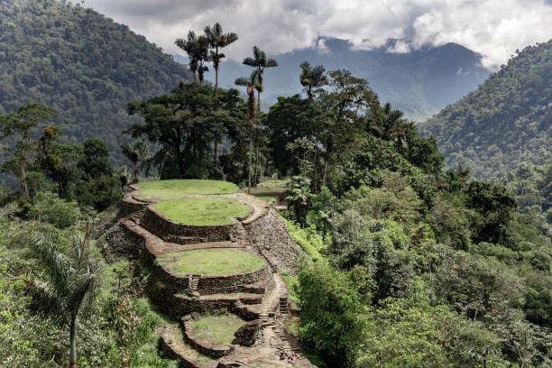sítio arqueológico perdido no meio da selva colombiana - national park tribal - fotografias e filmes do acervo
