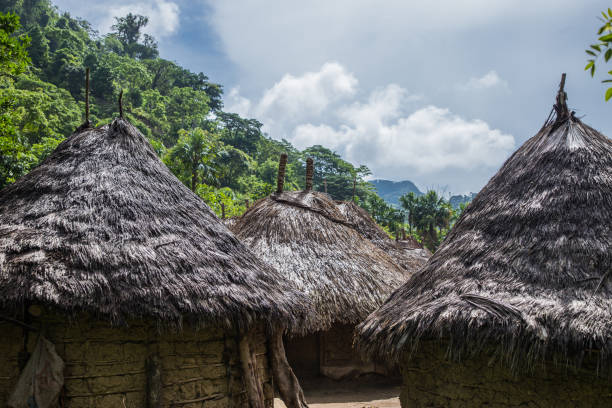 istock Straw and adobe huts from an indigenous tribe in the Colombian jungle 1313385498