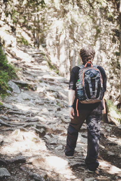 istock Hiking in French Alps 1313385512