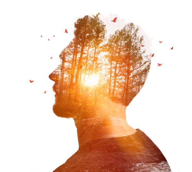 Multiple Exposure of young man and nature Multiple Exposure of young man and nature at sunset crow bird photos stock pictures, royalty-free photos & images