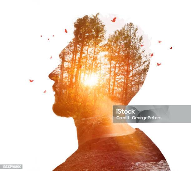 Multiple Exposure Of Young Man And Nature Stock Photo - Download Image Now - Multiple Exposure, Wellbeing, Footpath