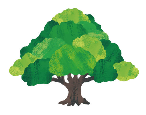 kolaż akwareli duże drzewo - trees stock illustrations