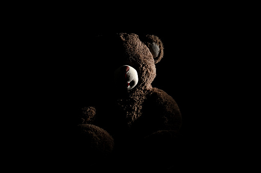Image showing only one side of the teddy bear.