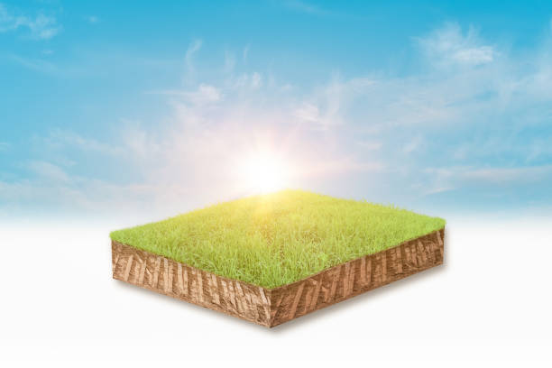 istock 3d illustration of cubical soil slice, green grass floating over sky cloud background. 1313395234