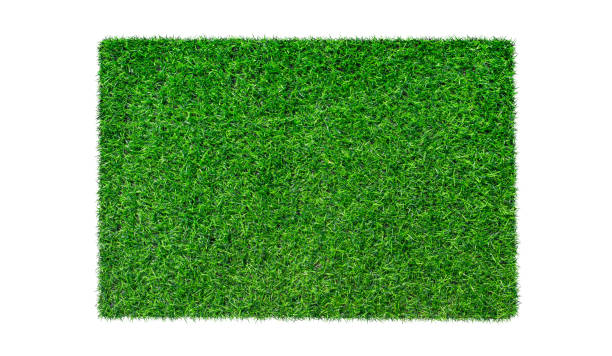 istock Artificial green carpet grass isolated on white background. top view 1313395869