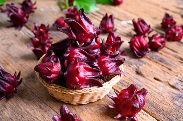 istock Hibiscus sabdariffa or roselle fruits 1313397855