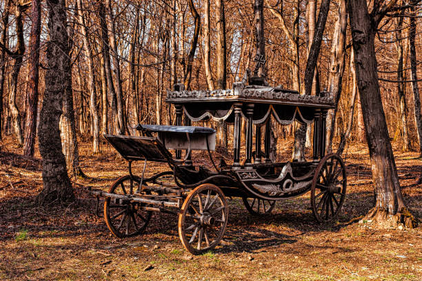 classic funeral carriage - baroness imagens e fotografias de stock