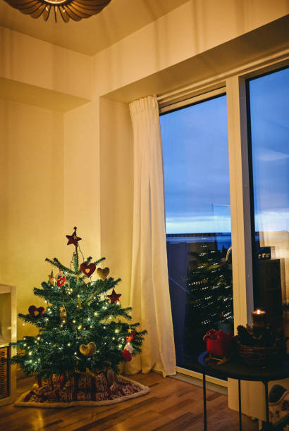 istock Shot of a decorated Christmas tree at home 1313399331
