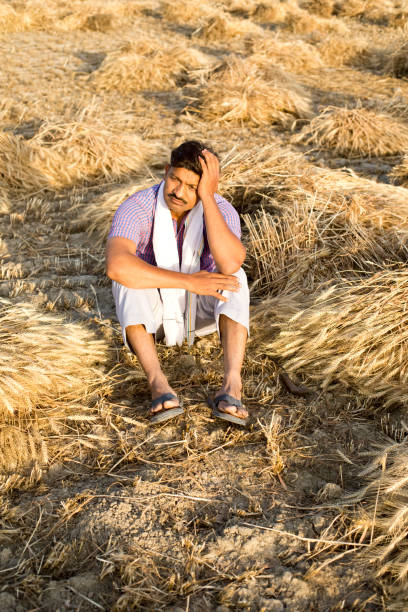 Worried farmer sitting on agriculture field