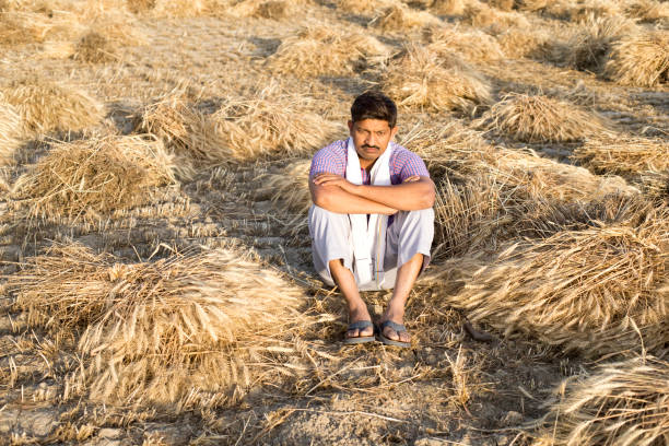 istock Thoughtful depressed farmer sitting on agricultural field 1313408861