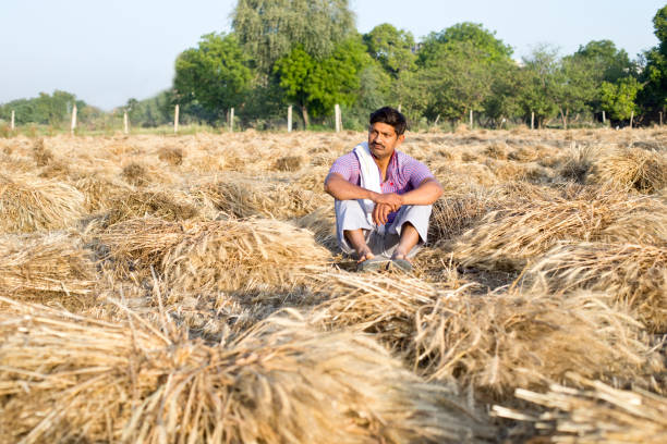 istock Thoughtful depressed farmer sitting on agricultural field 1313408872