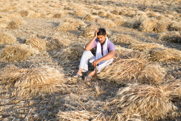 istock Poor worried farmer sitting on agriculture field 1313408882