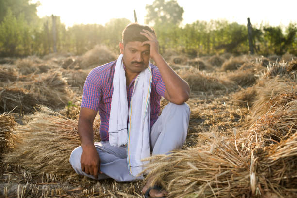 istock Poor worried farmer sitting on agriculture field 1313408909