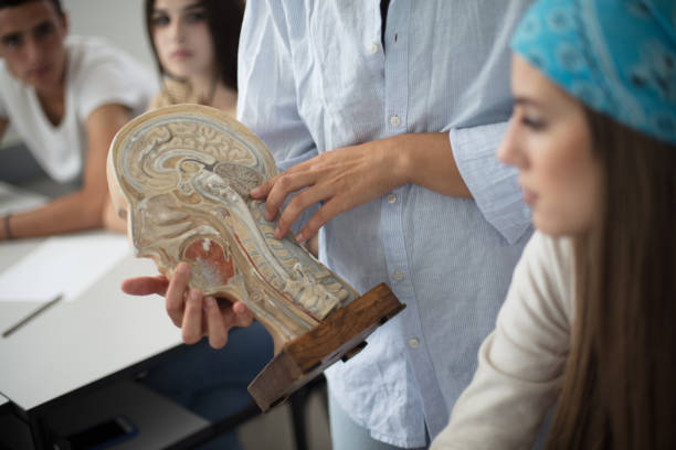 Conversation on biology class.  Teenage students on biology class. Focus is on background.