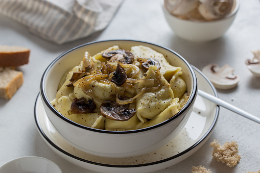 Homemade dumplings with mushrooms and onions in a ceramic plate, horizontal