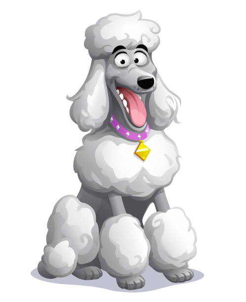 ilustraciones, imágenes clip art, dibujos animados e iconos de stock de perro lindo - caniche - dog smiling animal tongue pink