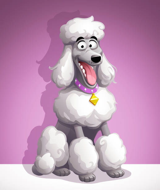 ilustraciones, imágenes clip art, dibujos animados e iconos de stock de caniche bonito - dog smiling animal tongue pink