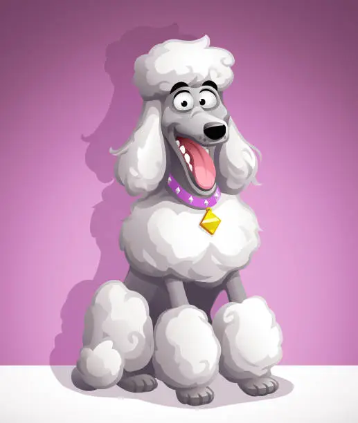 Vector illustration of Pretty Poodle