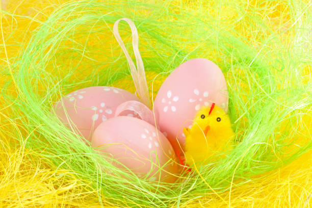 istock Chick and easter eggs in the yellow nest 1313416696