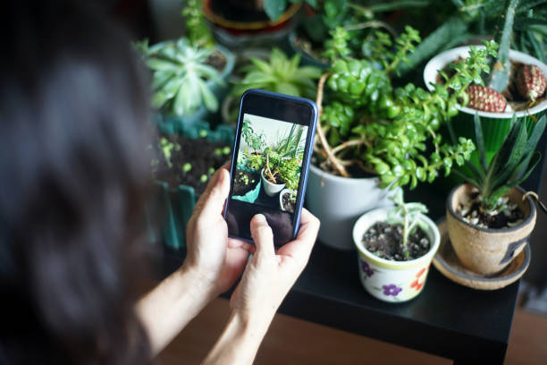 istock taking photos with cell phone camera 1313417803