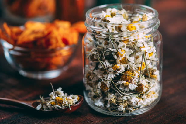 istock Dried Flowers on Rustic Wooden Background 1313417909