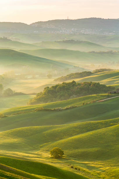istock Valley in a rolling landscape with morning fog 1313418700