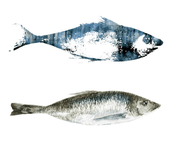istock Watercolor fishes on white background 1313418903