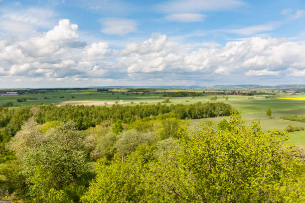 istock View over the countryside with fields and tree groves 1313419008
