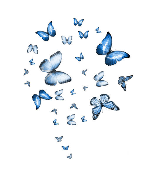 istock Flock of flying butterflies isolated on white 1313419051