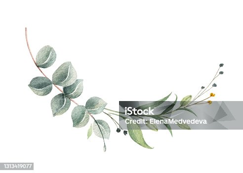 istock Watercolor vector wreath of green eucalyptus branches and leaves isolated on a white background. Flower hand painted illustration for greeting cards, wedding invitations, banner with space for text and more. 1313419077