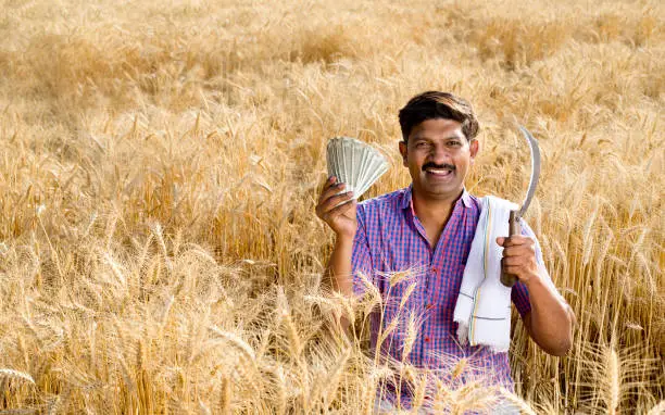 Happy rural farmer holding Indian rupee notes and sickle in agriculture field